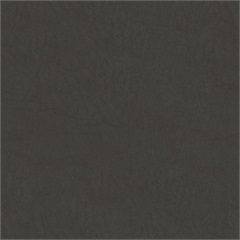 Stetson Healthcare Vinyl Upholstery Fabric